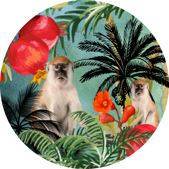 Round Magnet