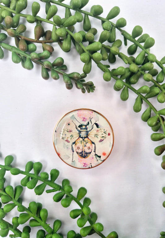 Lip Balm with mirror (R)